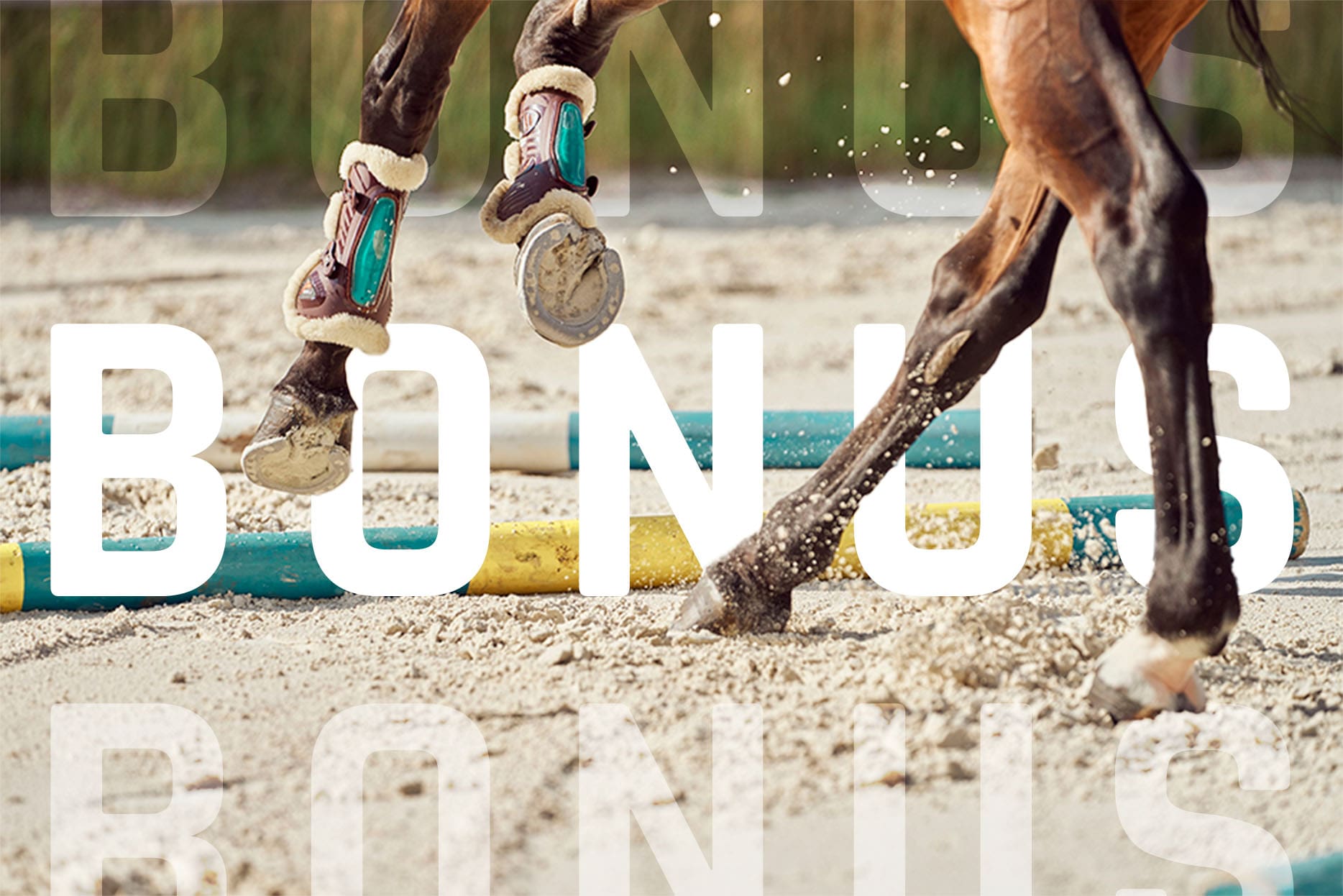 bonusser hestev&aelig;ddel&oslash;b